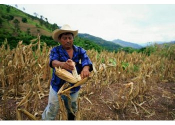 77fd1d2b 7f8d 4b49 8a6a a673bb2adaf3 749 499